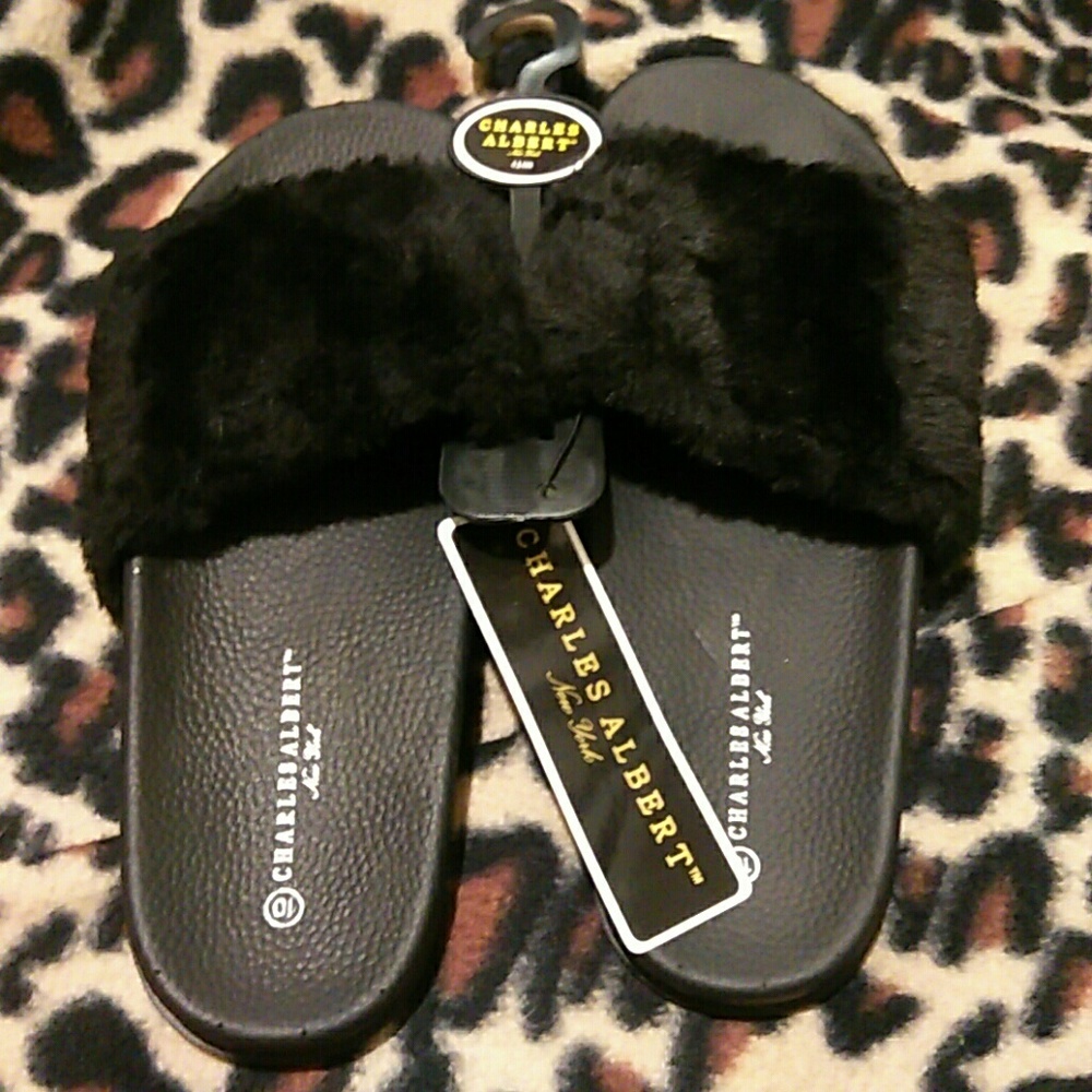 Slides